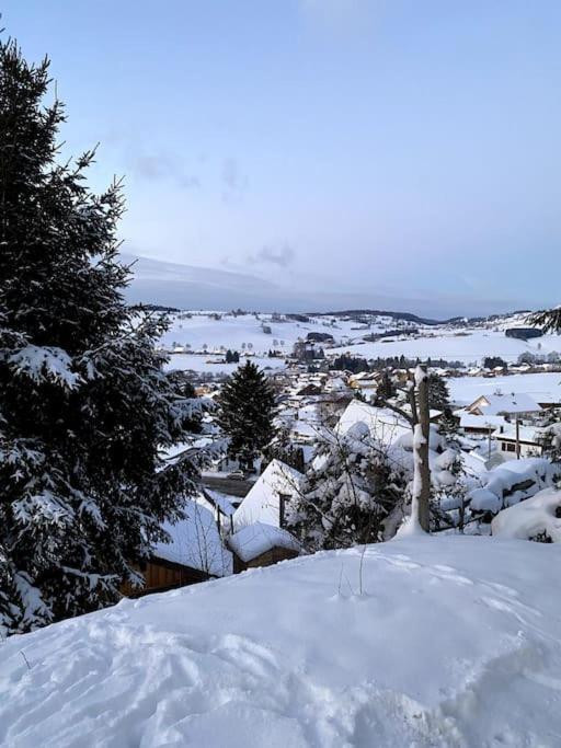 Chalet Pagotin - Le Renversant Metabief Luaran gambar